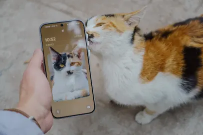 벳카트 카지노 모바일 앱